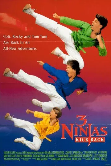 Uch Ninza 2 : Javob Zarbasi / 3 Nindzya 2 1994 HD Uzbek tilida Tarjima kino Skachat