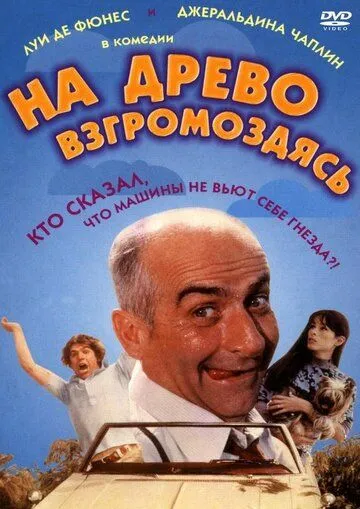Qarag'ay Daraxti/ Daraxtga Osilib 1971 Uzbek tilida Tarjima kino Skachat